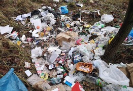 Śmiecie w lesie k. Starego Gostynia (photo)